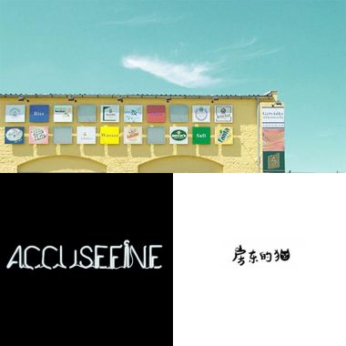 我的歌單