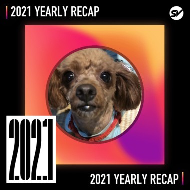 2021 個人年度精選之最