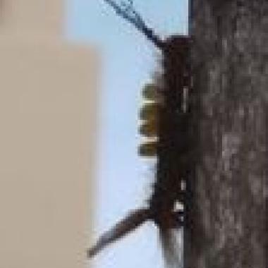 沉澱音樂人