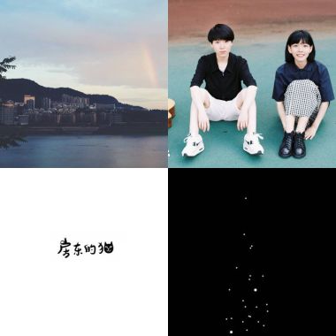 房東的貓