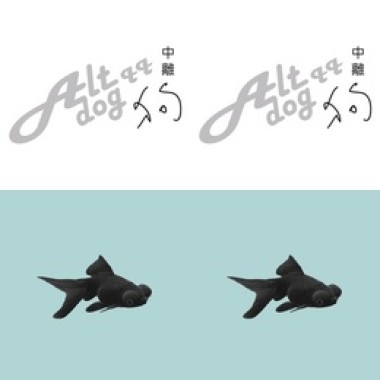 中離狗