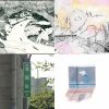 拋橢雙