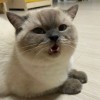 覺得總是要....