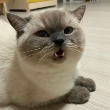 覺得總是要....