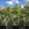 20190901河濱
