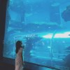 台湾独立音乐