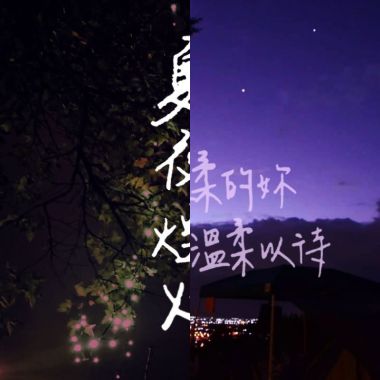 我的歌單
