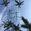 我的歌單