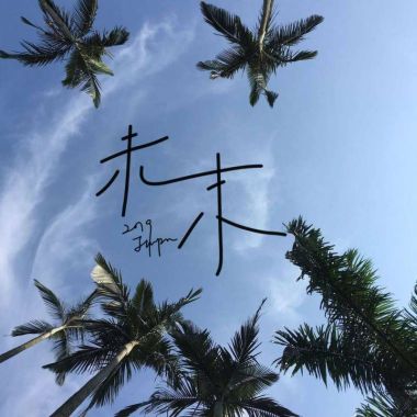 我的歌單
