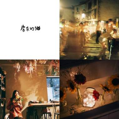 My Playlist  