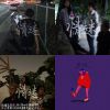 阿愷