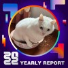 2022 個人年度精選