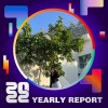 2022 個人年度精選