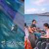 我的歌單 1