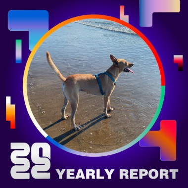 2022 個人年度精選