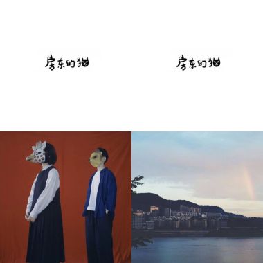 房東的貓❤️