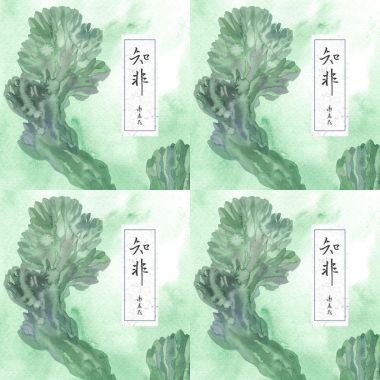 謝春花就是你