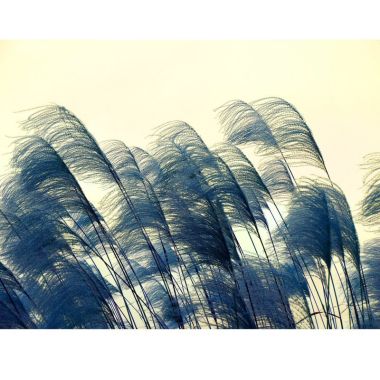 知更