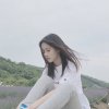 好听的歌