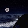 All about the moon