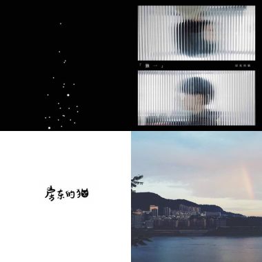 房東的貓