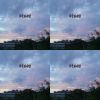 虎哥番茄-DEMOS