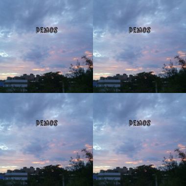 虎哥番茄-DEMOS