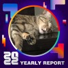 2022 個人年度精選