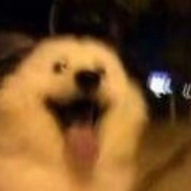 嘻嘻
