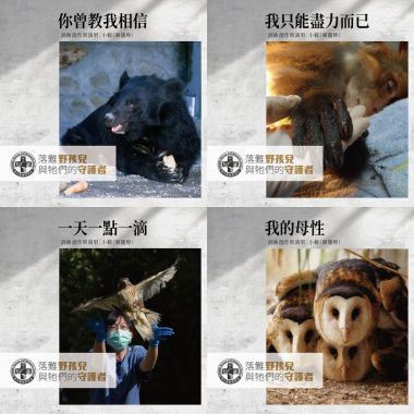 野生動物