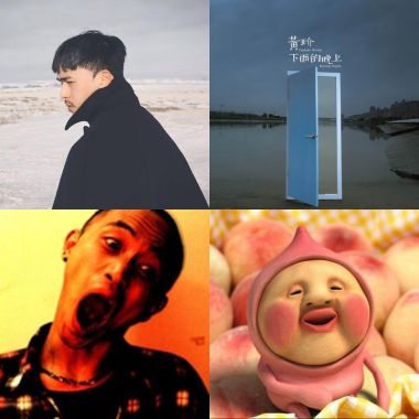 躺在貓身上