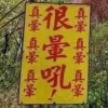暈的咪咪貓貓