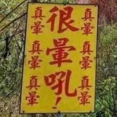 暈的咪咪貓貓