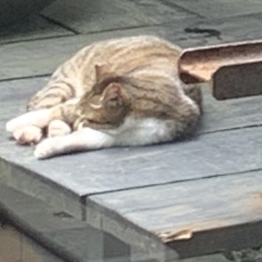 畢業ㄍ