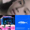 嘻哈