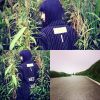 BGM - 01