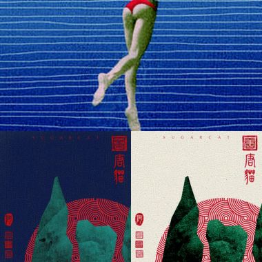貓