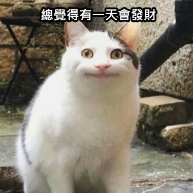 最受歡迎的沙龍娛樂城到底有什麼吸引人的地方？
