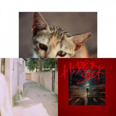 貓