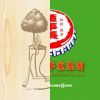 我的歌單  