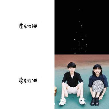 房貓