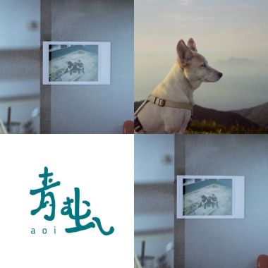 青虫