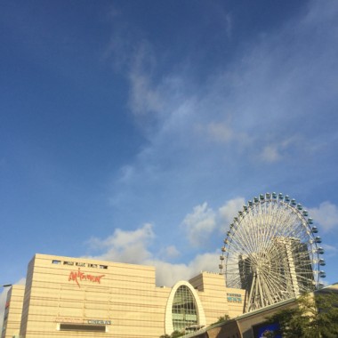 養雞協會理事長