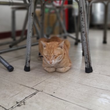 喜歡ㄉ畢業歌