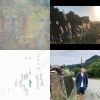 柔柔軟軟