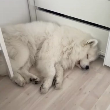 ?