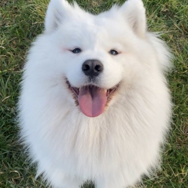 (◍•ᴗ•◍)