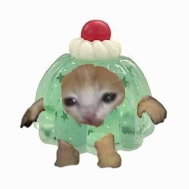 ✩