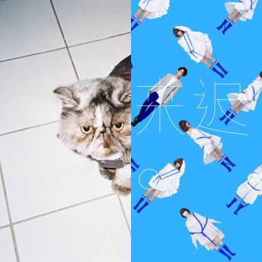 可愛