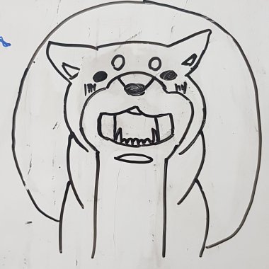 柴犬可愛
